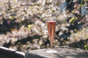 A glass of sparkling wine amidst blooming sakura in Tokyo, Japan.